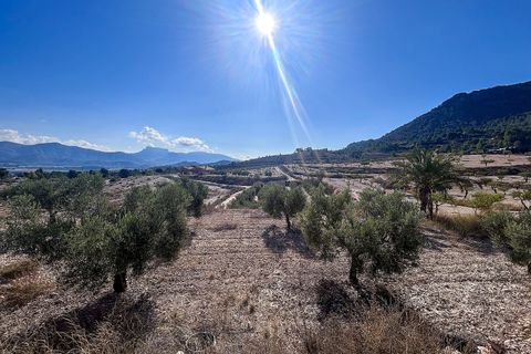 Finca en Elda, Alicante, Elda - € 150.000 | Ref: MA013 - photo 26