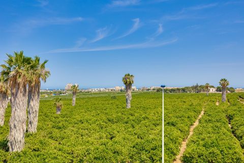 Byhus i Torrevieja, Alicante, Torrevieja - € 315.000 | Ref: MLSC4049009 - foto 38