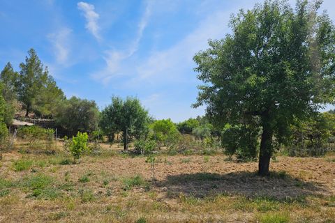 Helårsgrund i Calvia, Mallorca, Calvia - € 180.000 | Ref: FALC-DiRa-86058 - foto 5