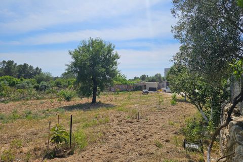 Helårsgrund i Calvia, Mallorca, Calvia - € 180.000 | Ref: FALC-DiRa-86058 - foto 6