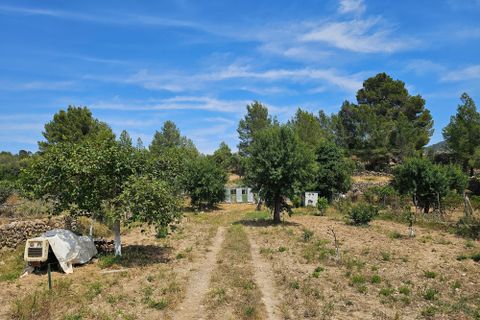 Helårsgrund i Calvia, Mallorca, Calvia - € 180.000 | Ref: FALC-DiRa-86058 - foto 7