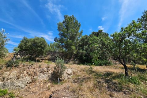 Helårsgrund i Calvia, Mallorca, Calvia - € 180.000 | Ref: FALC-DiRa-86058 - foto 9