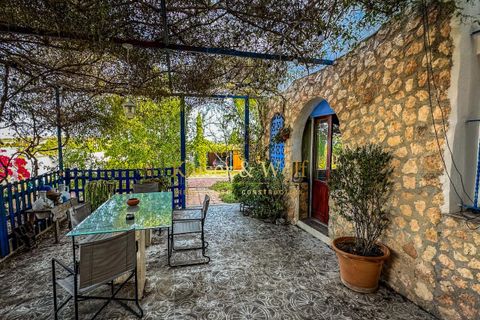 Villa a Elche, Alicante, Elche - € 450.000 | Ref: AM0056 - foto 5