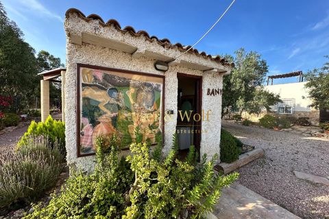 Villa a Elche, Alicante, Elche - € 450.000 | Ref: AM0056 - foto 31