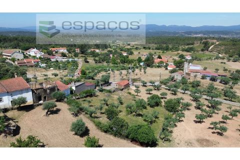 Helårsgrund i Castelo Branco, Castelo Branco, Castelo Branco - € 25.000 | Ref: 5537/FA_AC - foto 2