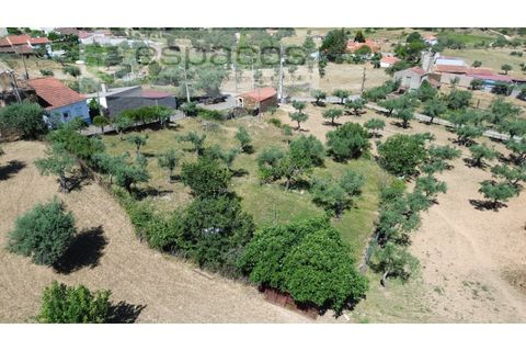 Helårsgrund i Castelo Branco, Castelo Branco, Castelo Branco - € 25.000 | Ref: 5537/FA_AC - foto 4