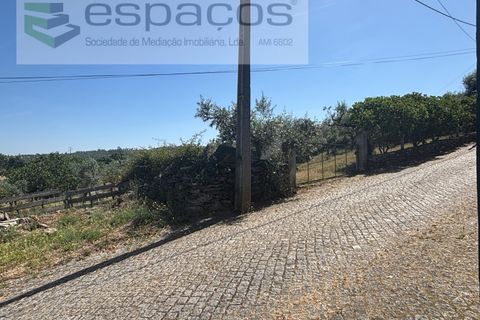 Helårsgrund i Castelo Branco, Castelo Branco, Castelo Branco - € 25.000 | Ref: 5537/FA_AC - foto 10