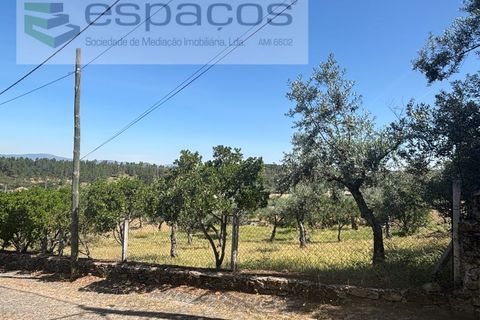 Helårsgrund i Castelo Branco, Castelo Branco, Castelo Branco - € 25.000 | Ref: 5537/FA_AC - foto 11