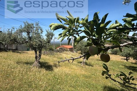 Helårsgrund i Castelo Branco, Castelo Branco, Castelo Branco - € 25.000 | Ref: 5537/FA_AC - foto 12