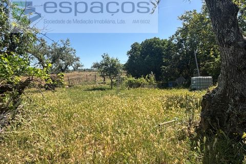 Helårsgrund i Castelo Branco, Castelo Branco, Castelo Branco - € 25.000 | Ref: 5537/FA_AC - foto 13