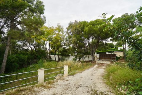 Terra a Moraira, Alicante, Moraira - € 350.000 | Ref: G-1984-AMB - foto 2
