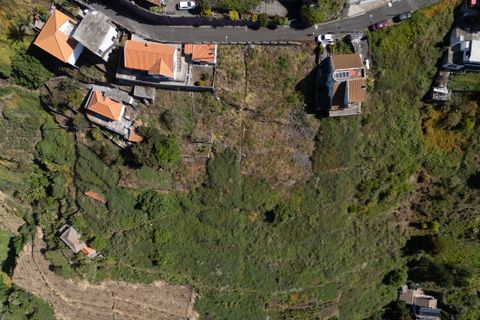 Helårsgrund i Ribeira Brava, Madeira, Ribeira Brava - € 110.000 | Ref: 00625-AS - foto 7