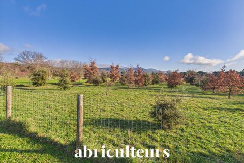 Villa a Puyvert, Vaucluse, Puyvert - € 849.000 | Ref: SMVM030617184160_7 - foto 24