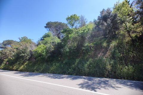 Terra a Barcelona, Barcelona, Barcelona - € 74.900 | Ref: 602841 - foto 16