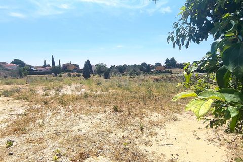 Terra a Madrid, Madrid, Madrid - € 64.000 | Ref: 937255 - foto 4