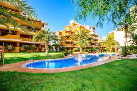 Apartamento en Punta Prima, Alicante, Punta Prima - € 260.000 | Ref: 13899 - photo 50