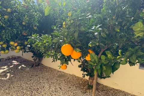 Villa i Isla Plana, Murcia, Isla Plana - € 599.000 | Ref: CHA06352 - foto 49