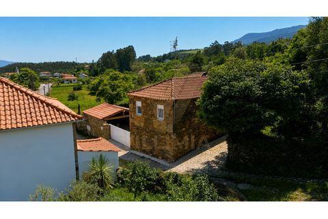 Villa a Viana do Castelo, Viana do Castelo, Viana do Castelo - € 257.000 | Ref: V496 - foto 20