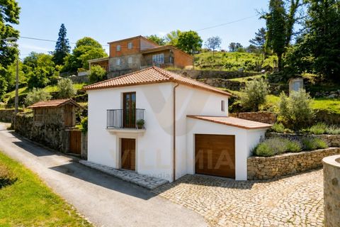 Ruinere i Bico e Cristelo, Viana do Castelo, Bico e Cristelo - € 67.000 | Ref: V488 - foto 1
