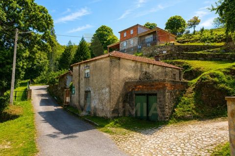 Ruinere i Bico e Cristelo, Viana do Castelo, Bico e Cristelo - € 67.000 | Ref: V488 - foto 2