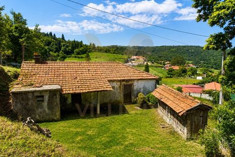 Ruinere i Bico e Cristelo, Viana do Castelo, Bico e Cristelo - € 67.000 | Ref: V488 - foto 4