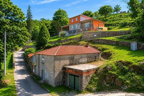 Ruinere i Bico e Cristelo, Viana do Castelo, Bico e Cristelo - € 67.000 | Ref: V488 - foto 5