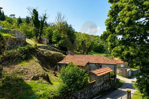 Ruinere i Bico e Cristelo, Viana do Castelo, Bico e Cristelo - € 67.000 | Ref: V488 - foto 6