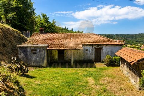 Ruinere i Bico e Cristelo, Viana do Castelo, Bico e Cristelo - € 67.000 | Ref: V488 - foto 7