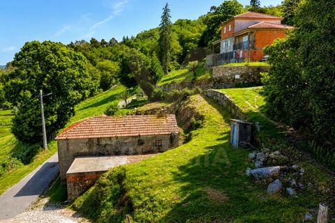 Ruinere i Bico e Cristelo, Viana do Castelo, Bico e Cristelo - € 67.000 | Ref: V488 - foto 8