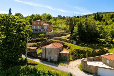 Ruinere i Bico e Cristelo, Viana do Castelo, Bico e Cristelo - € 67.000 | Ref: V488 - foto 9
