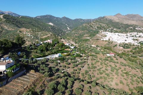 Finca i Canillas De Albaida, Malaga - foto 2