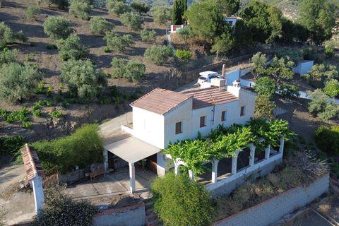 Finca i Canillas De Albaida, Malaga - foto 1