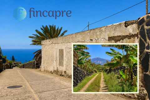 Bauernhof in San Marcos, Tenerife - Foto 1