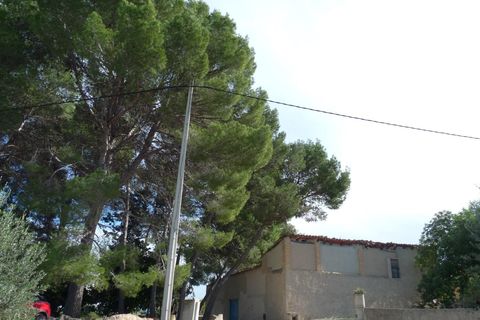Landejendom i Albaida, Valencia, Albaida - € 85.000 | Ref: PNPT219 - foto 6
