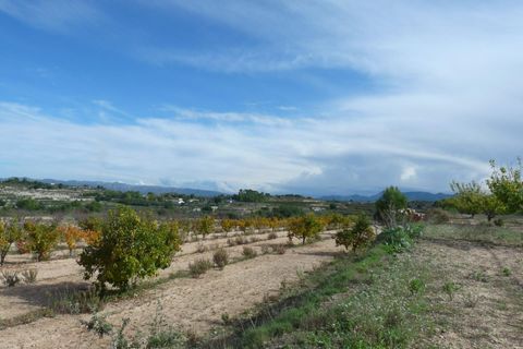 Landejendom i Albaida, Valencia, Albaida - € 85.000 | Ref: PNPT219 - foto 19