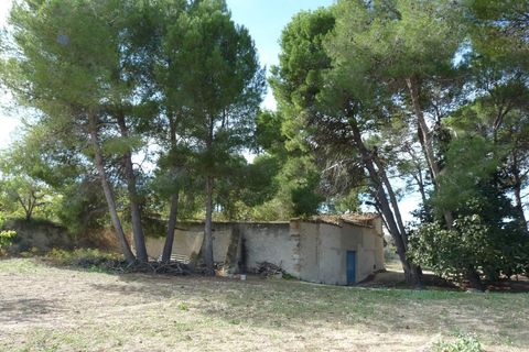 Landejendom i Albaida, Valencia, Albaida - € 85.000 | Ref: PNPT219 - foto 5