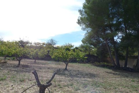 Landejendom i Albaida, Valencia, Albaida - € 85.000 | Ref: PNPT219 - foto 10
