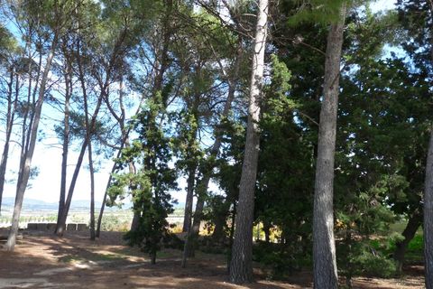 Landejendom i Albaida, Valencia, Albaida - € 85.000 | Ref: PNPT219 - foto 13