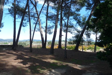 Landejendom i Albaida, Valencia, Albaida - € 85.000 | Ref: PNPT219 - foto 17
