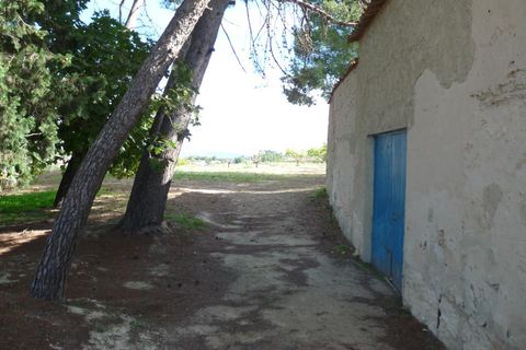 Landejendom i Albaida, Valencia, Albaida - € 85.000 | Ref: PNPT219 - foto 2