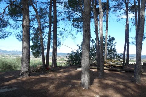 Landejendom i Albaida, Valencia, Albaida - € 85.000 | Ref: PNPT219 - foto 12