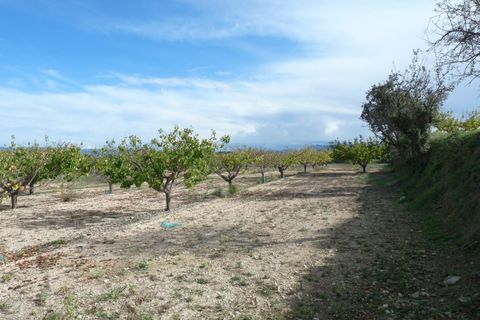 Landejendom i Albaida, Valencia, Albaida - € 85.000 | Ref: PNPT219 - foto 9