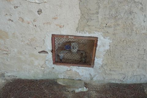 Landejendom i Albaida, Valencia, Albaida - € 85.000 | Ref: PNPT219 - foto 7