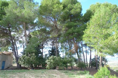 Landejendom i Albaida, Valencia, Albaida - € 85.000 | Ref: PNPT219 - foto 15