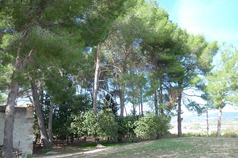 Landejendom i Albaida, Valencia, Albaida - € 85.000 | Ref: PNPT219 - foto 14
