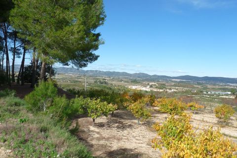 Landejendom i Albaida, Valencia, Albaida - € 85.000 | Ref: PNPT219 - foto 16