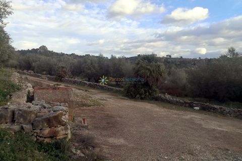 Helårsgrund i Beniganim, Valencia, Beniganim - € 88.000 | Ref: PNPT280 - foto 5