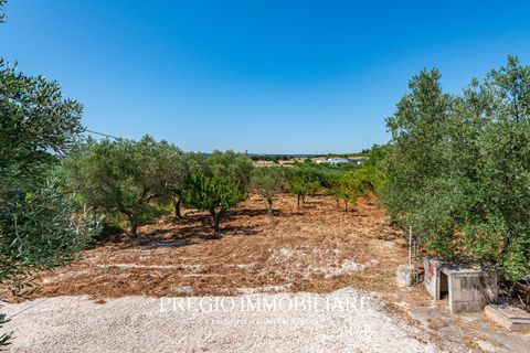 Villa a Alberobello, Bari, Alberobello - € 175.000 | Ref: Rif: 9113RV9528 - foto 22