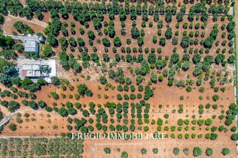 Villa a Alberobello, Bari, Alberobello - € 175.000 | Ref: Rif: 9113RV9528 - foto 24