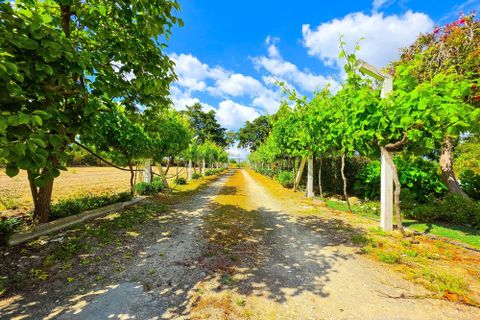 Farm hus i Palmela, Setubal, Palmela - € 588.000 | Ref: C0443-00530 - foto 31